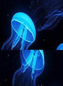 水母视频大全,揭秘海洋中的透明精灵