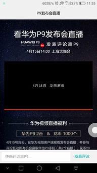 视频不能全屏播放怎么回事,探究原因及解决方案