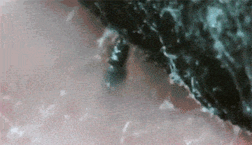 清黑头视频,视频揭秘高效清黑头技巧