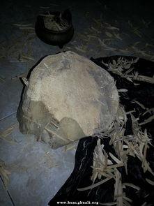 沉香取香视频,揭秘沉香取香全过程