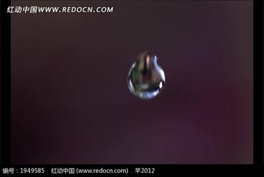 水滴  视频,捕捉生活瞬间，记录美好时光