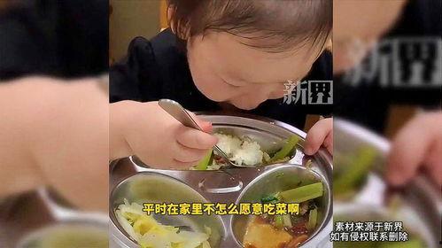 小孩吃饭视频大全,趣味盎然的小吃货瞬间集锦