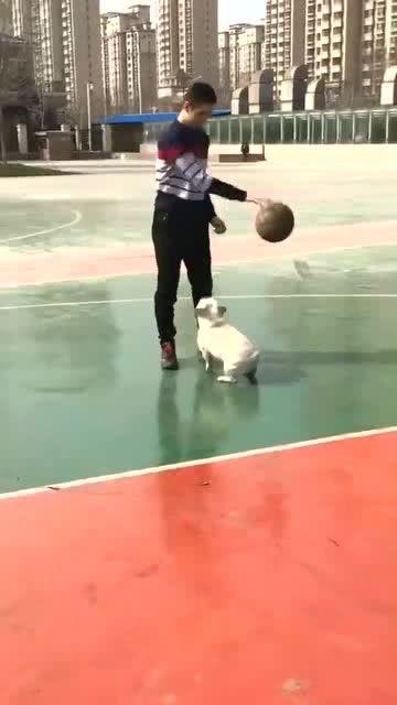 抢球的视频,激情四溢！抢球瞬间精彩回顾